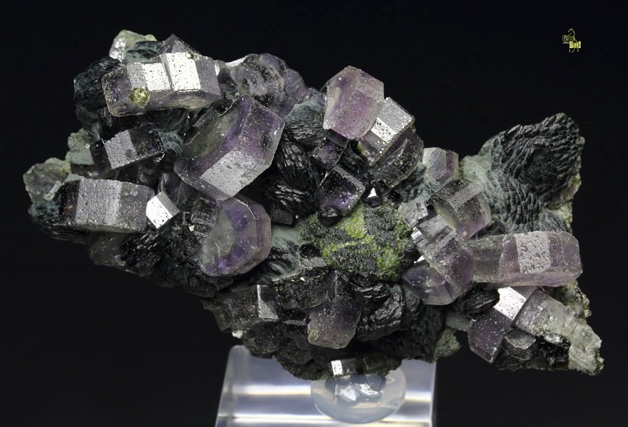 gemmy purple FLUORAPATITE, MUSCOVITE, CHALCOPYRITE