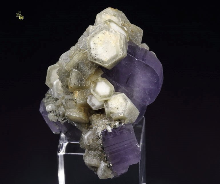 gemmy purple FLUORAPATITE, SIDERITE