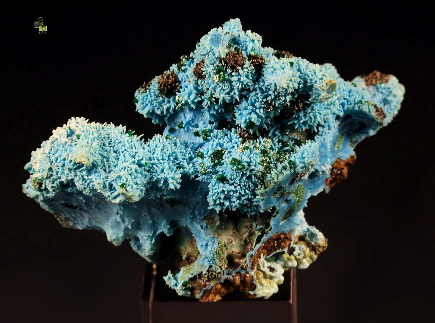 new find - AJOITE pseudomorph after AZURITE, after MALACHITE