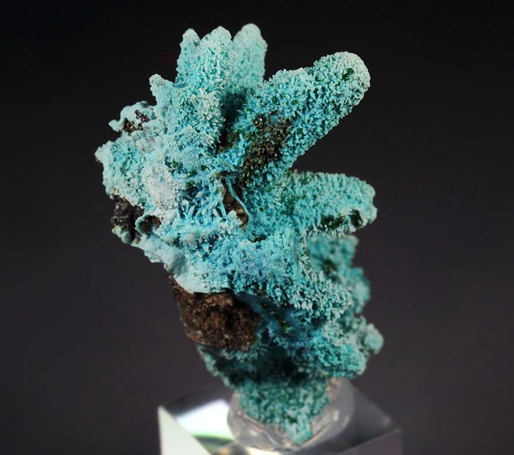 new find - AJOITE pseudomorph after AZURITE, after MALACHITE