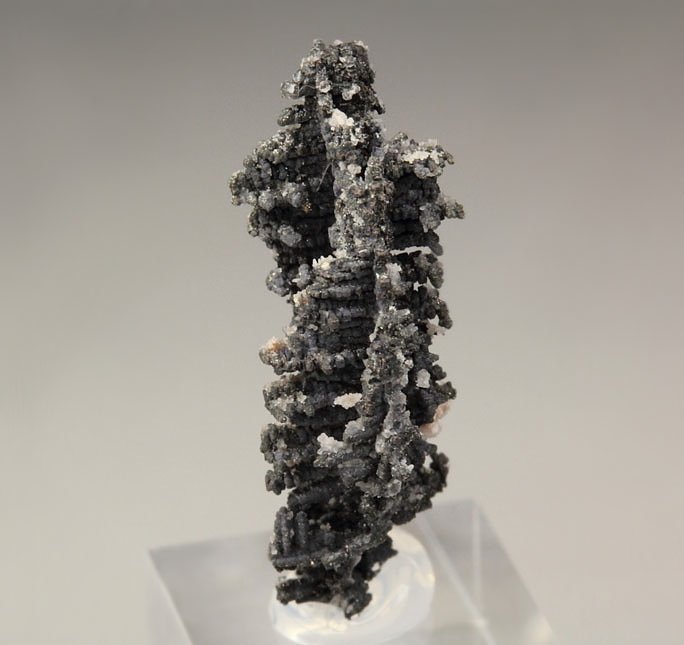SILVER - SPINEL LAW TWIN
