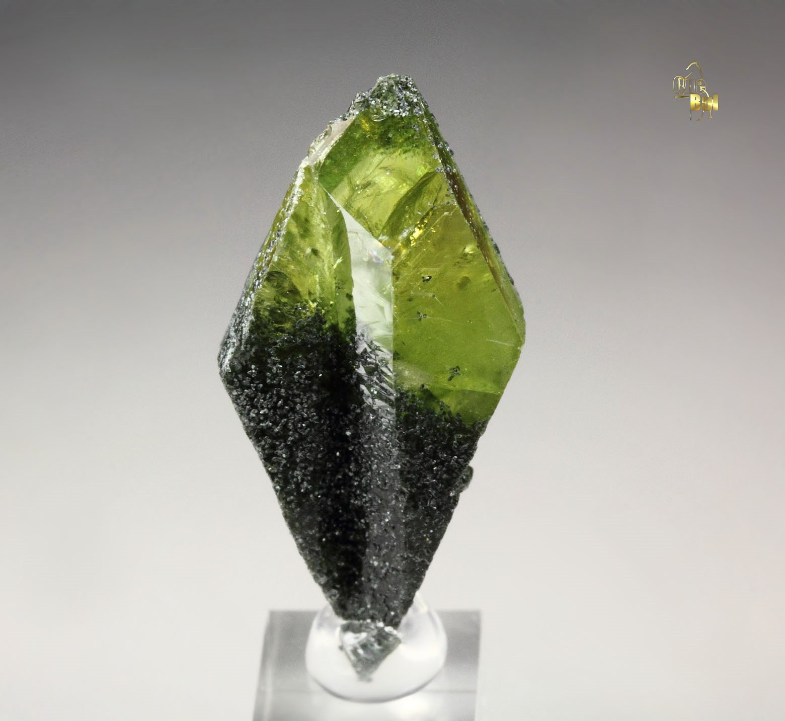 gem TITANITE twinned with CLINOCHLORE inclusions