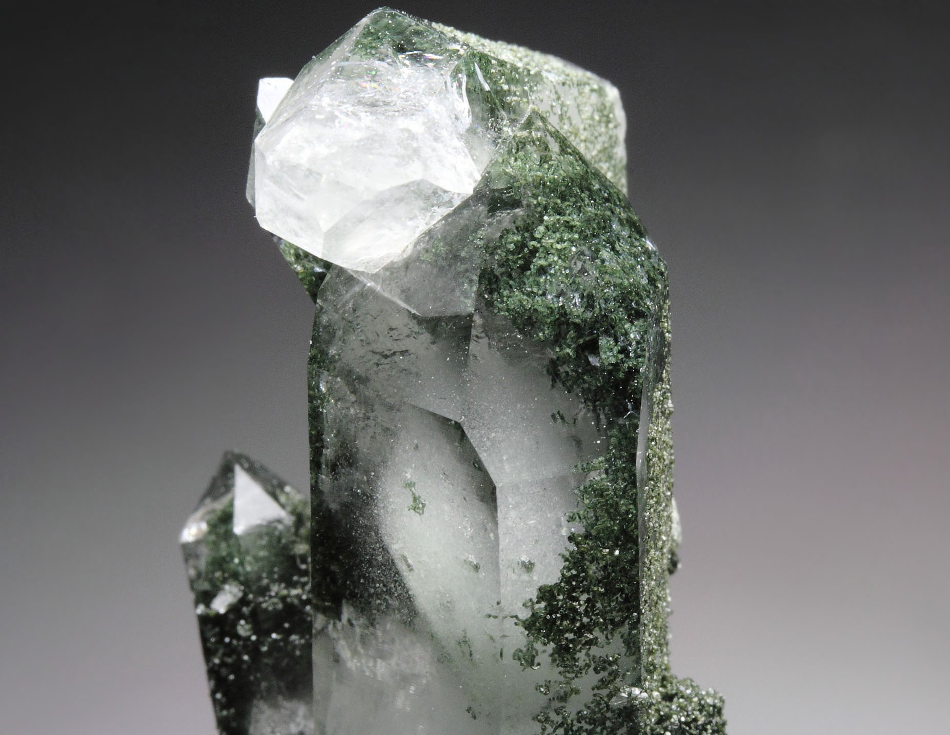 QUARTZ with CHLORITE GROUP inclusions