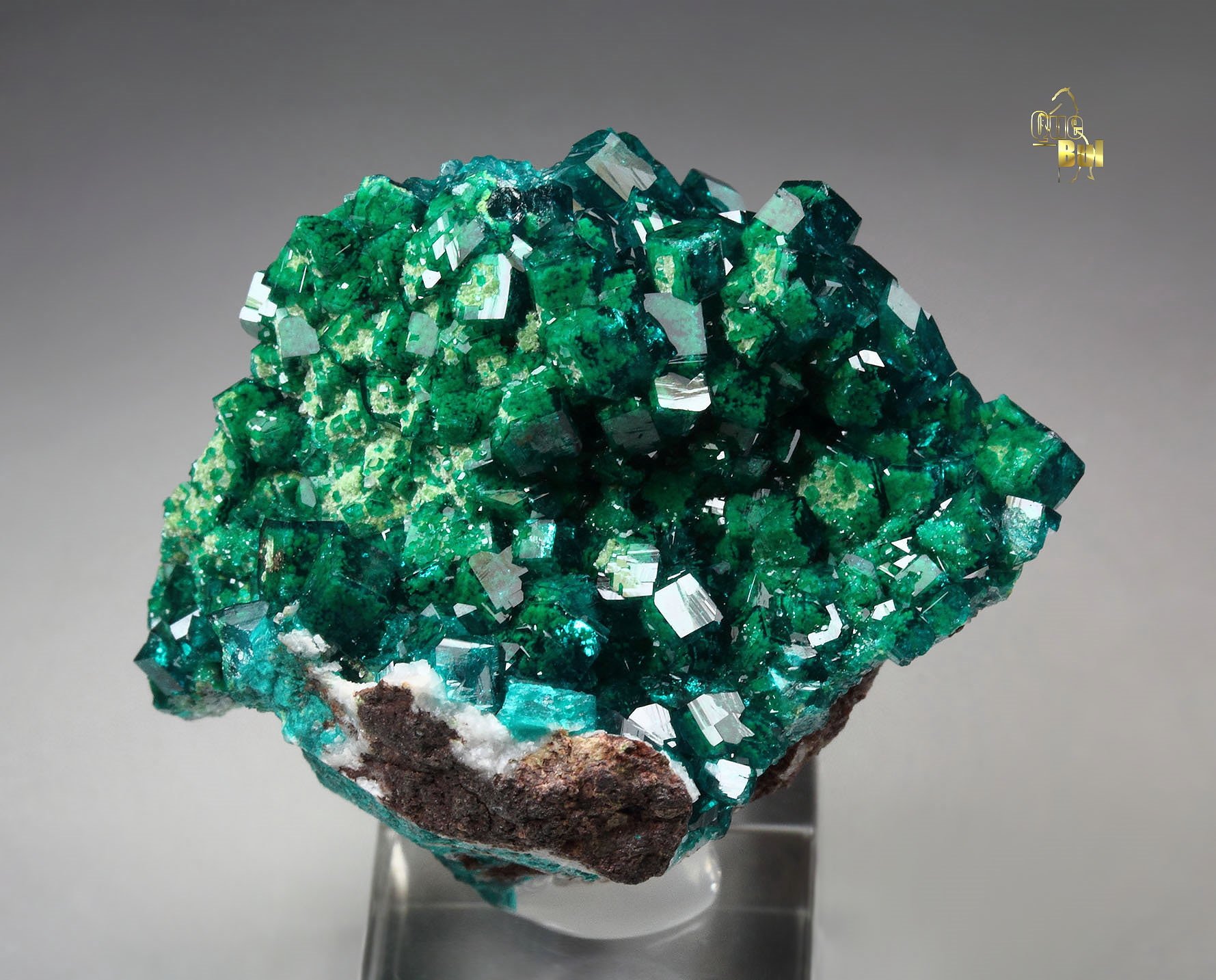 gemmy DIOPTASE with DUFTITE inclusions, CALCITE 