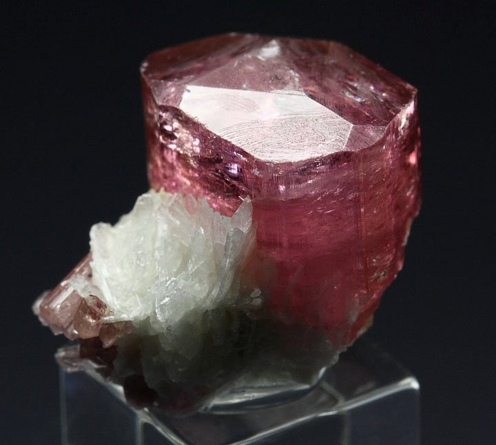 Quebul Fine Minerals / gem TOURMALINE var. ELBAITE, ALBITE