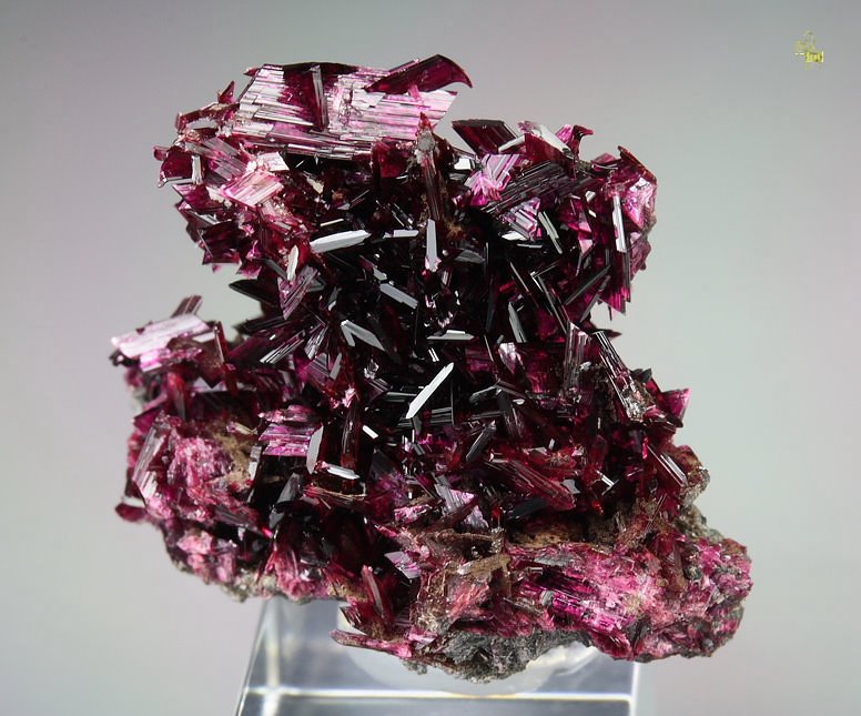 gemmy ERYTHRITE