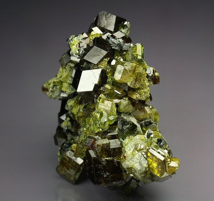 GARNET var. ANDRADITE, EPIDOTE -  floater