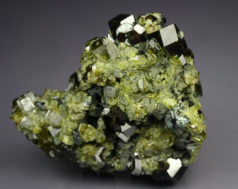 GARNET var. ANDRADITE, EPIDOTE -  floater