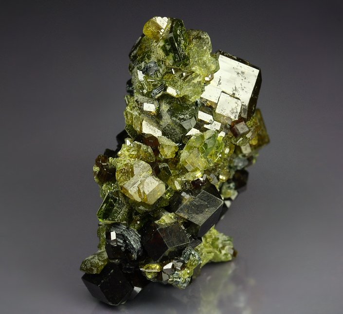 GARNET var. ANDRADITE, EPIDOTE -  floater