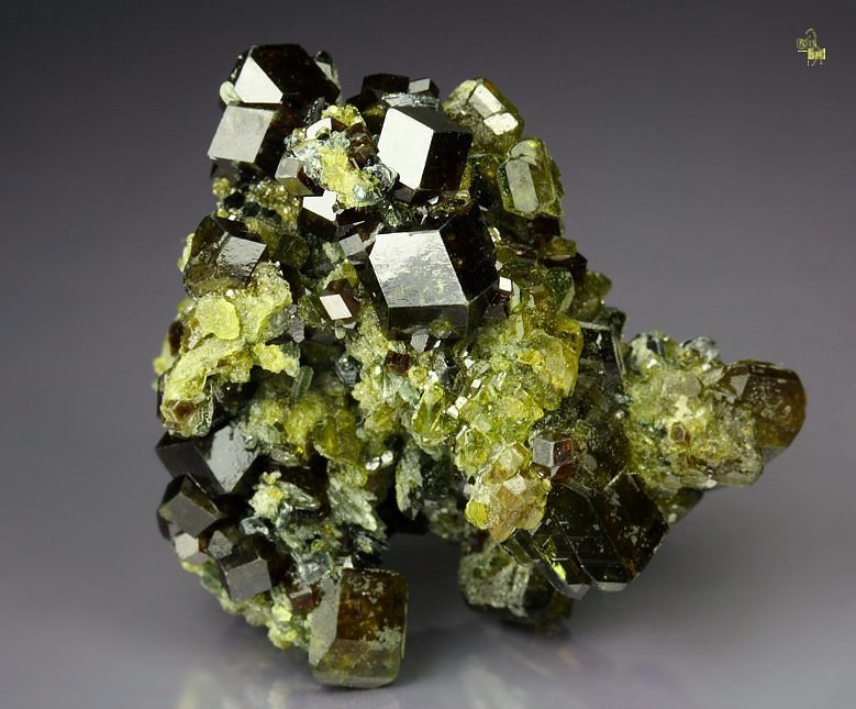 GARNET var. ANDRADITE, EPIDOTE -  floater