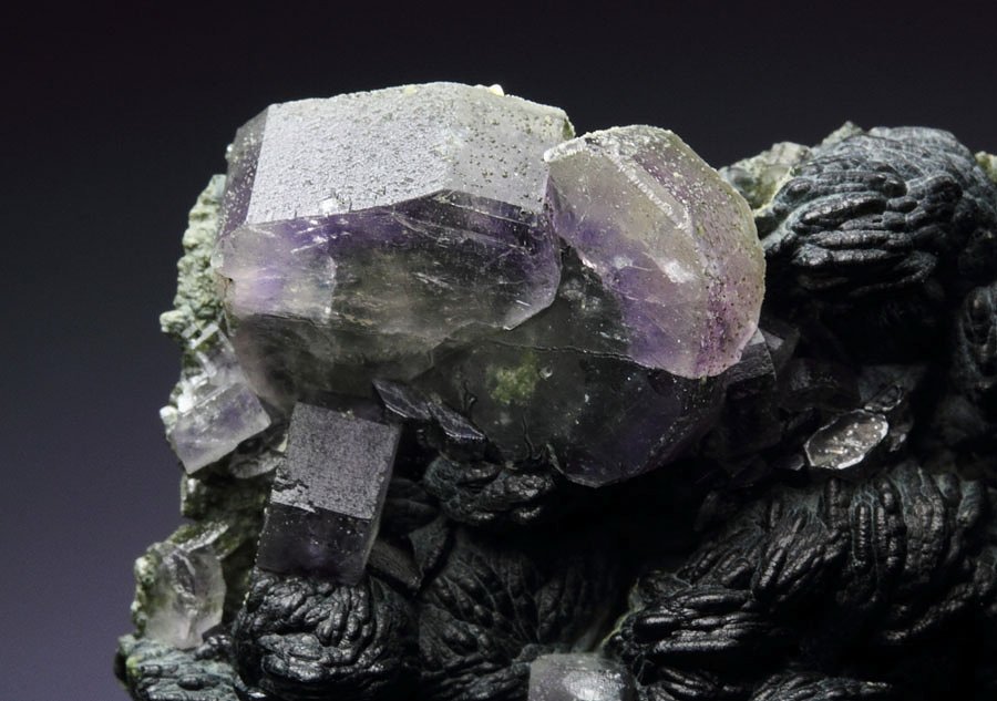 gemmy purple FLUORAPATITE, CLINOCHLORE