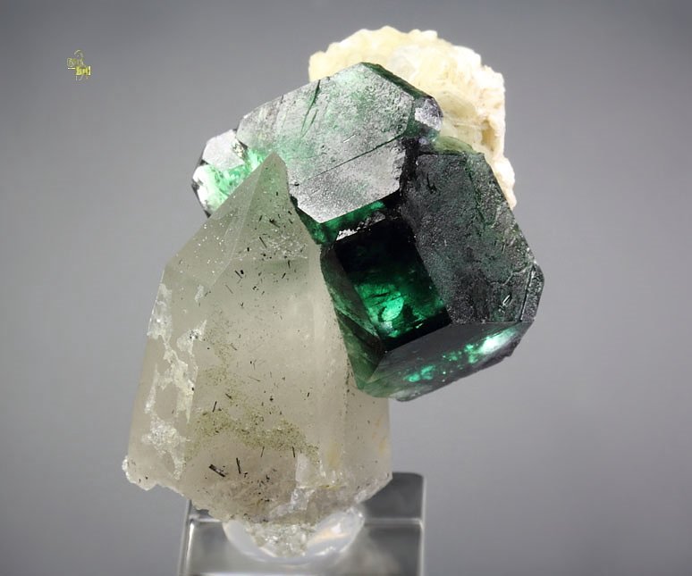 FLUORITE, QUARTZ, MUSCOVITE, TOURMALINE var. SCHORL