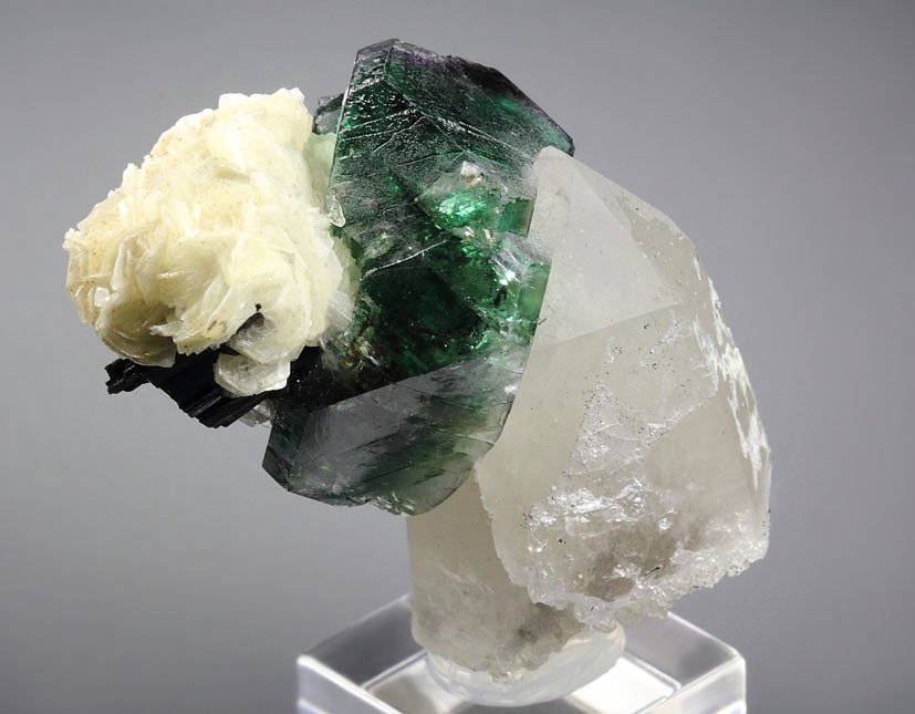 FLUORITE, QUARTZ, MUSCOVITE, TOURMALINE var. SCHORL