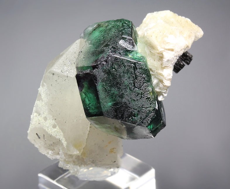 FLUORITE, QUARTZ, MUSCOVITE, TOURMALINE var. SCHORL