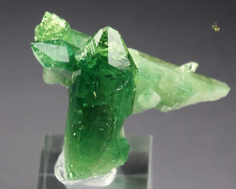 gem VESUVIANITE var. CHROMIAN