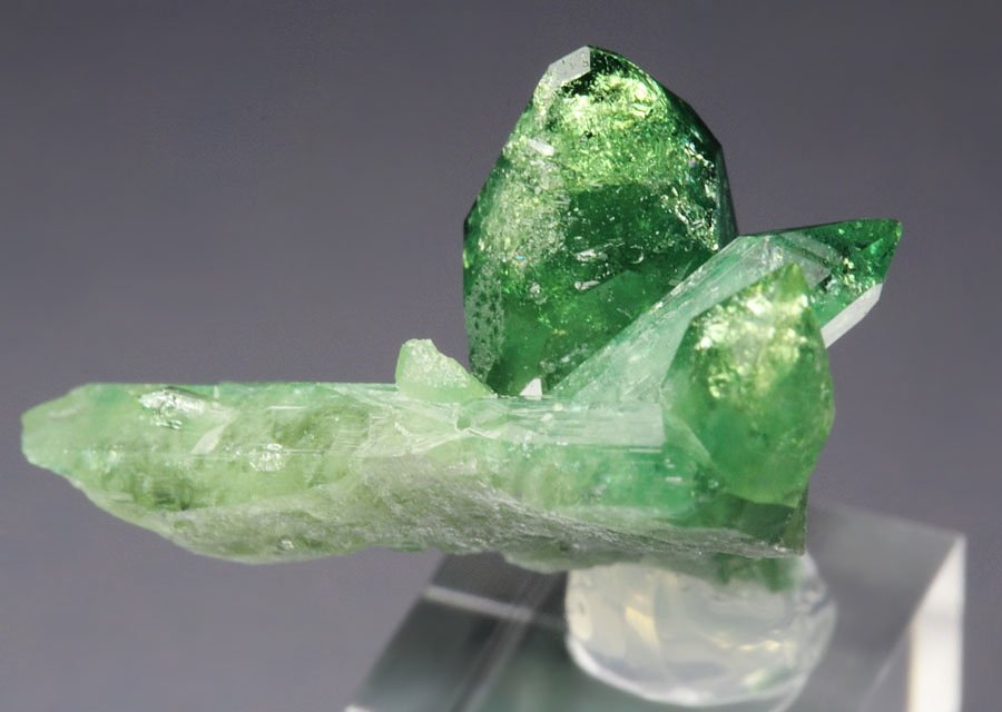 gem VESUVIANITE var. CHROMIAN