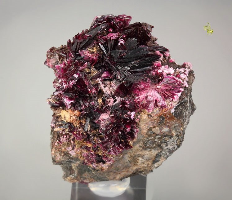 new find - ERYTHRITE two habits