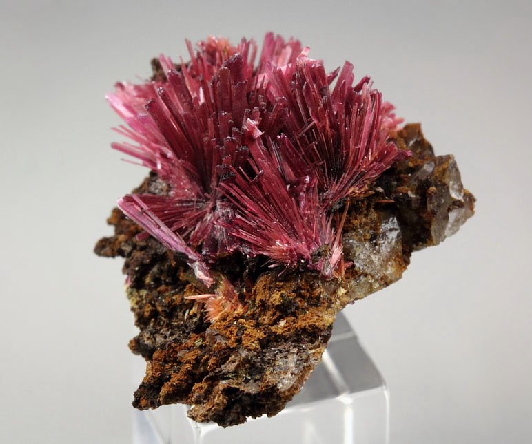 ERYTHRITE, PHLOGOPITE, QUARTZ