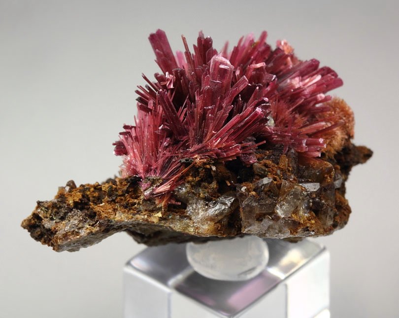 ERYTHRITE, PHLOGOPITE, QUARTZ