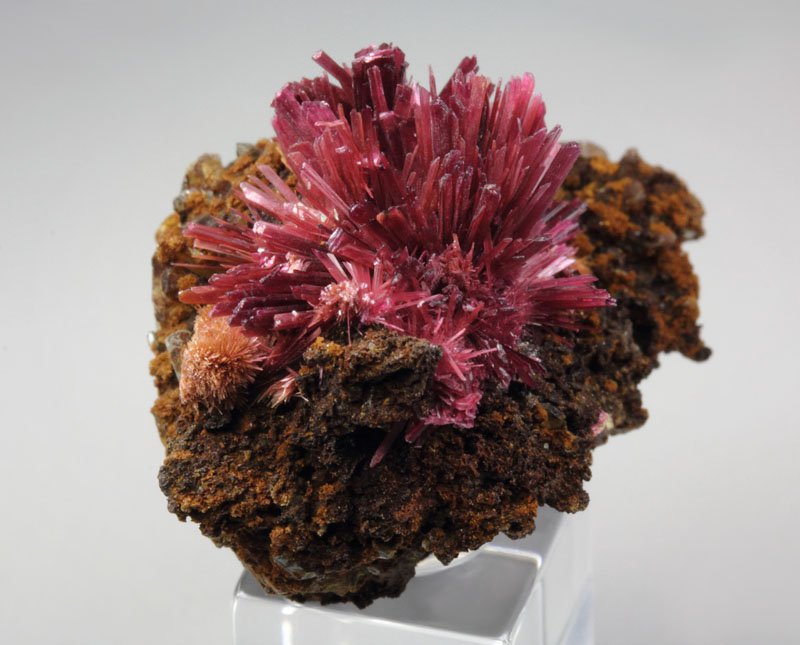 ERYTHRITE, PHLOGOPITE, QUARTZ