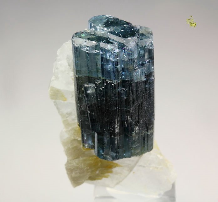 gem FLUORAPATITE, ALBITE, MUSCOVITE