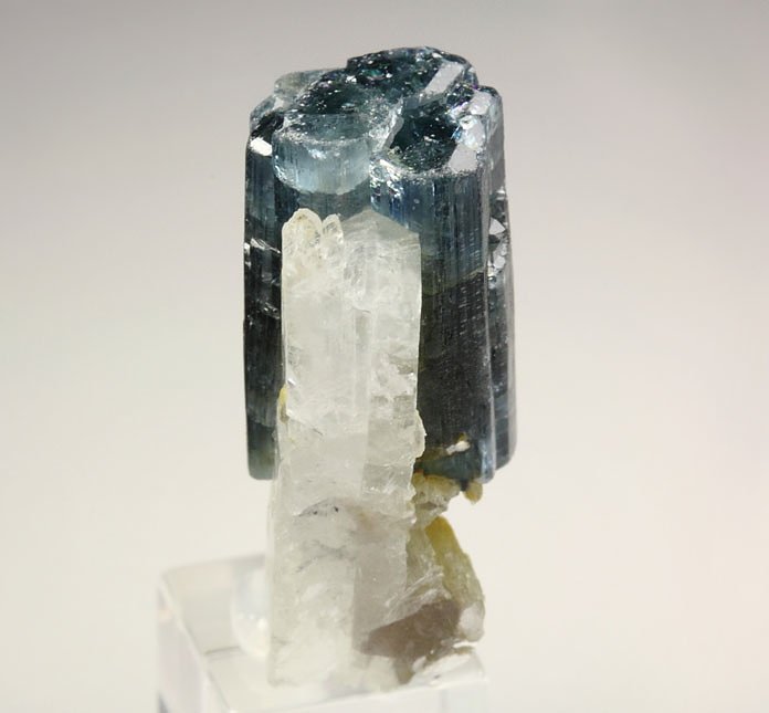 gem FLUORAPATITE, ALBITE, MUSCOVITE