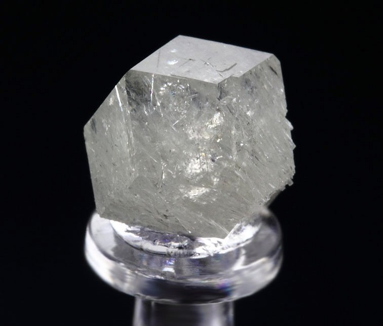 colorless gem GARNET var. GROSSULAR with DIOPSIDE inclusions