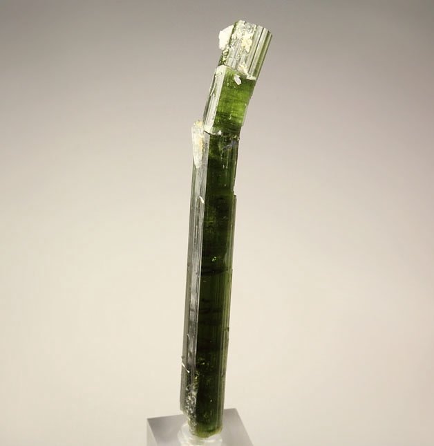 bended gem TOURMALINE var. ELBAITE