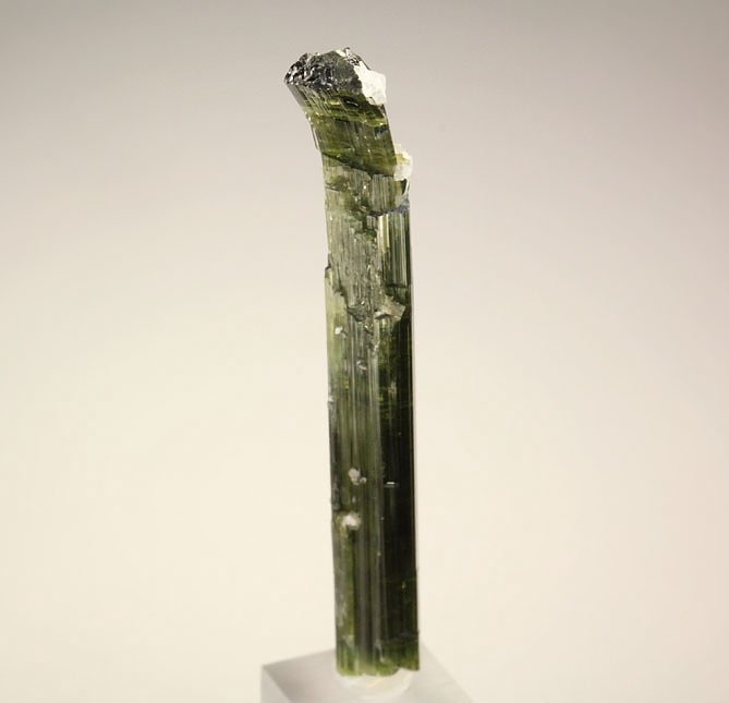 bended gem TOURMALINE var. ELBAITE