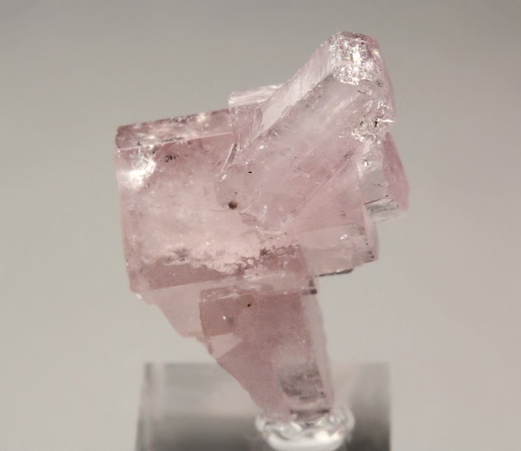 pink gem FLUORAPATITE