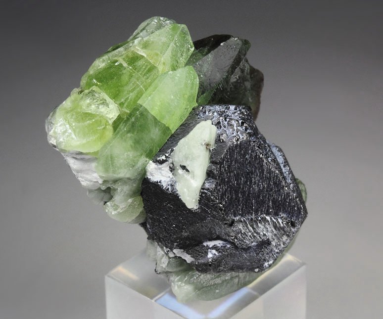 FORSTERITE var. PERIDOT with LUDWIGITE inclusions, MAGNETITE