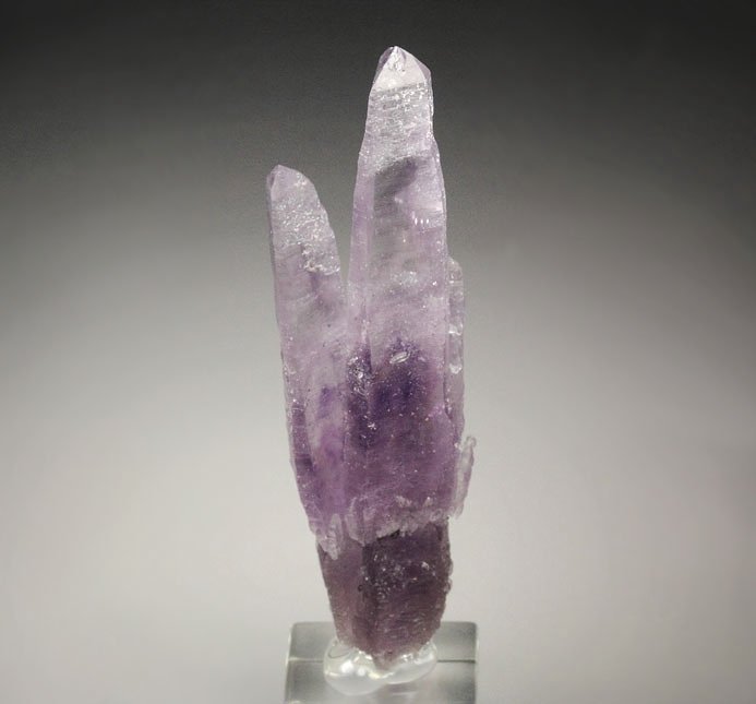 QUARTZ var. AMETHYST scepter 