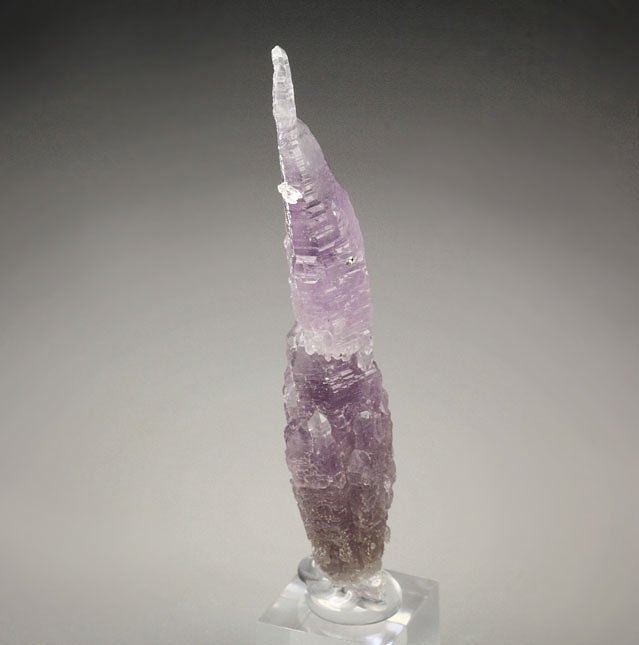 QUARTZ var. AMETHYST scepter