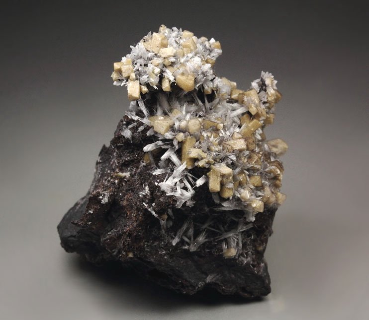 BULTFONTEINITE, OLMIITE