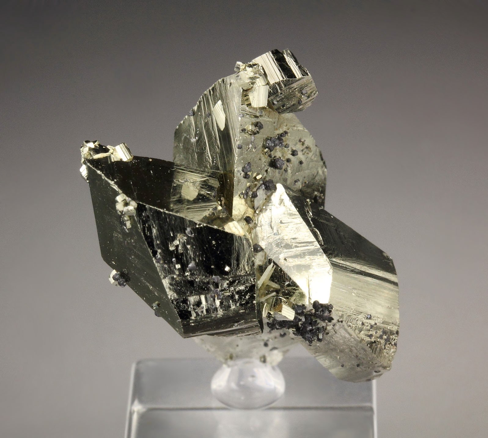 PYRITE floater