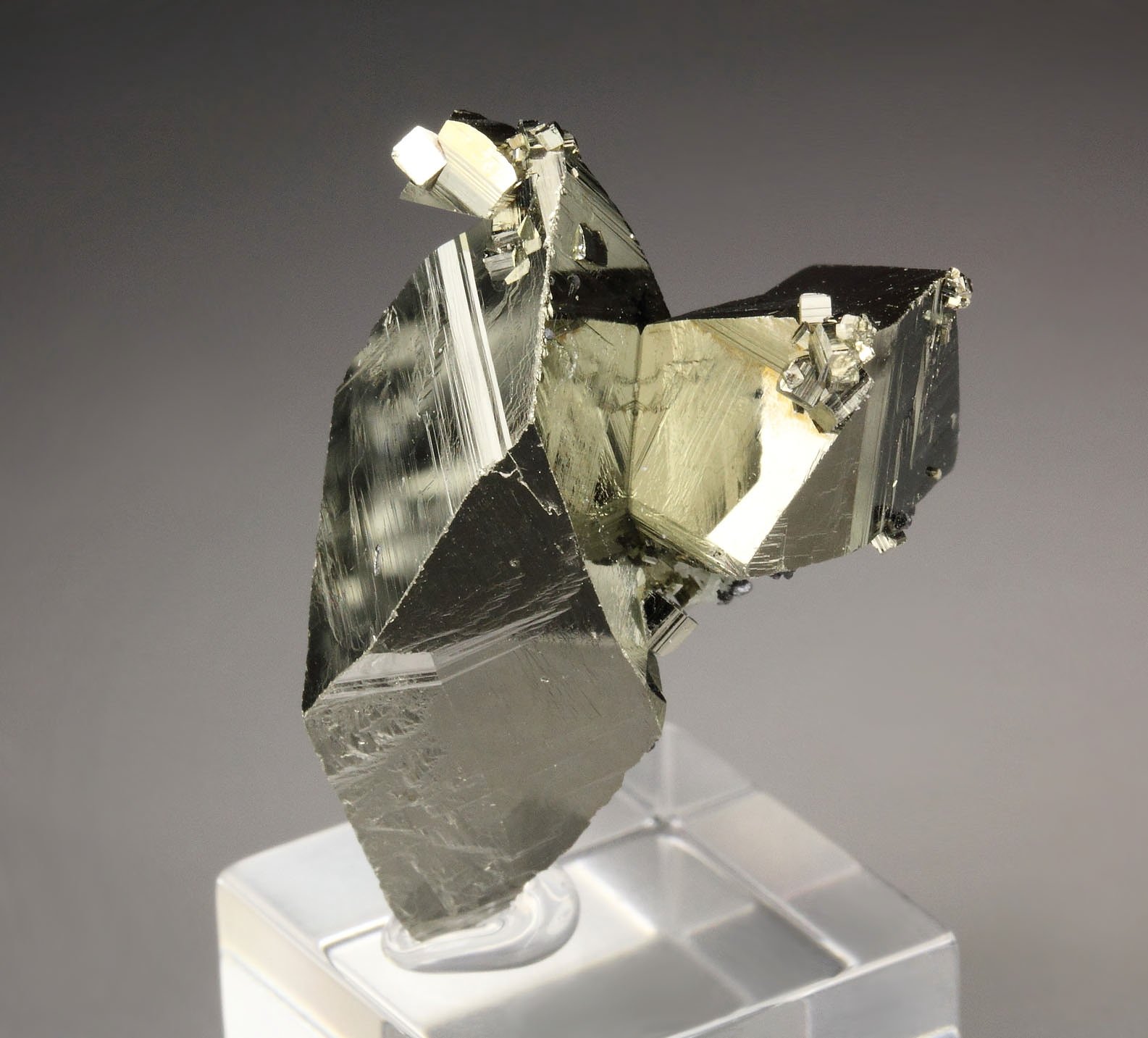 PYRITE floater