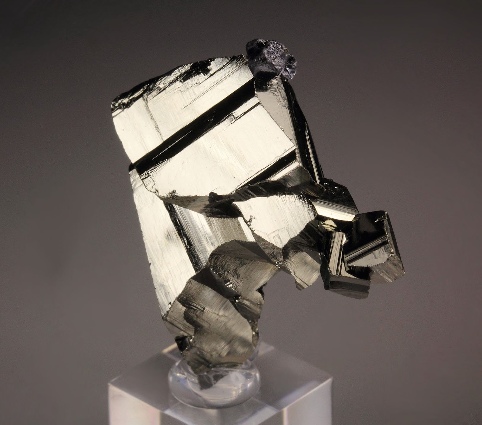 PYRITE floater, GALENA