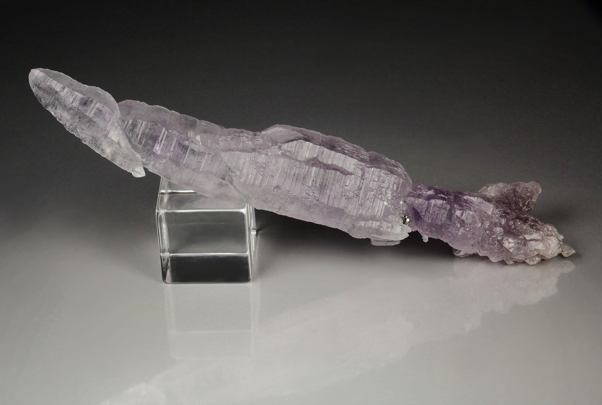 bi-terminated QUARTZ var. AMETHYST scepter, PYRITE 