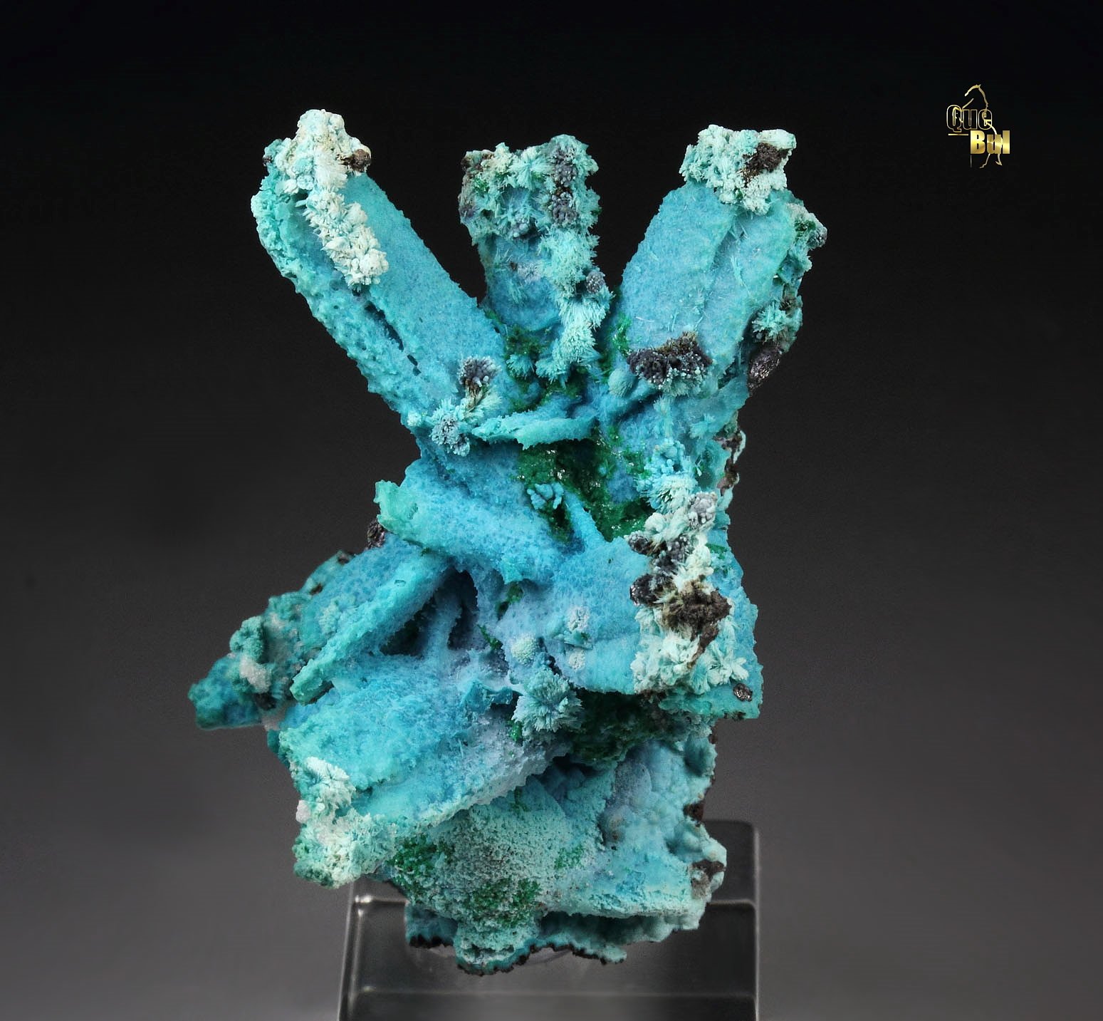 CHRYSOCOLLA pseudomorph after AZURITE, after MALACHITE