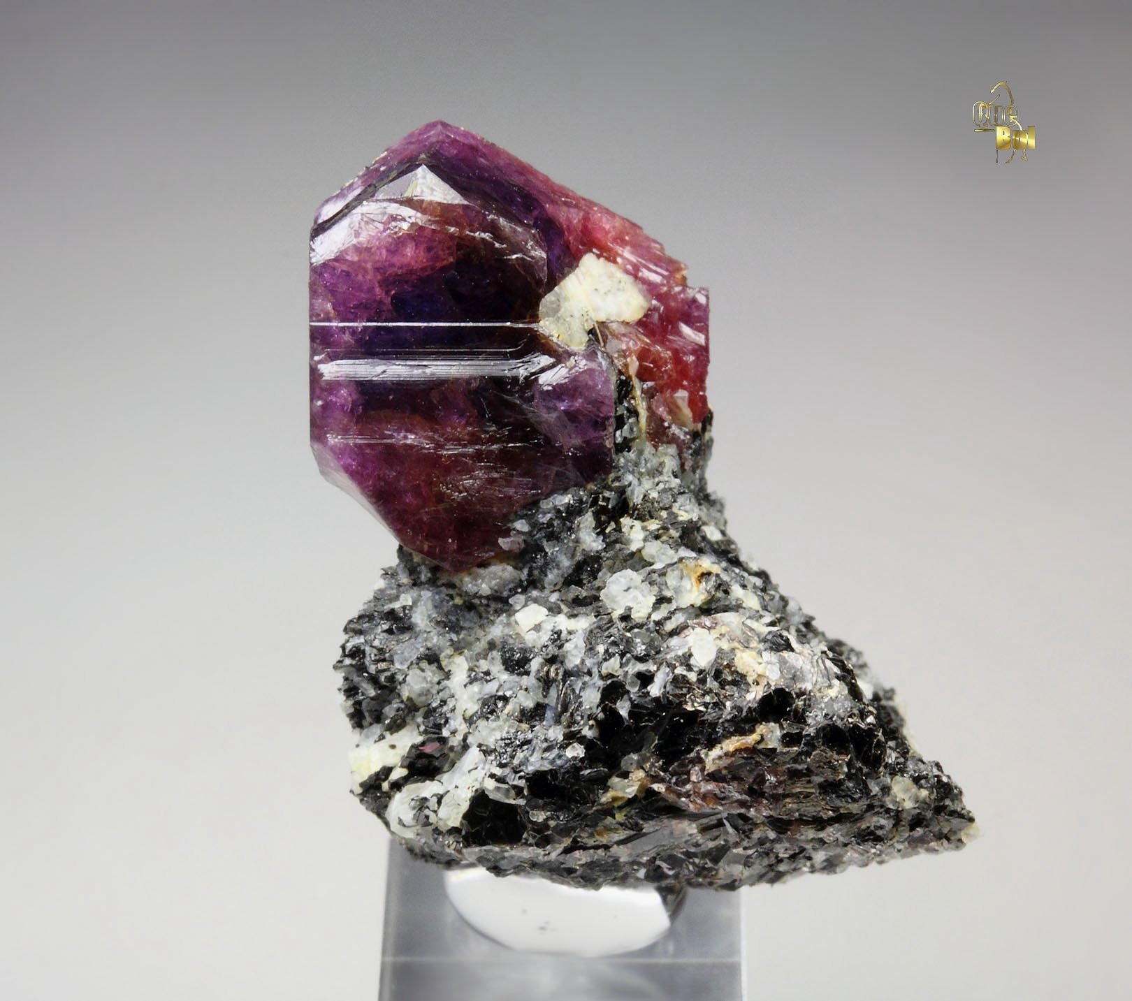 bi-color CORUNDUM var. RUBY, MUSCOVITE