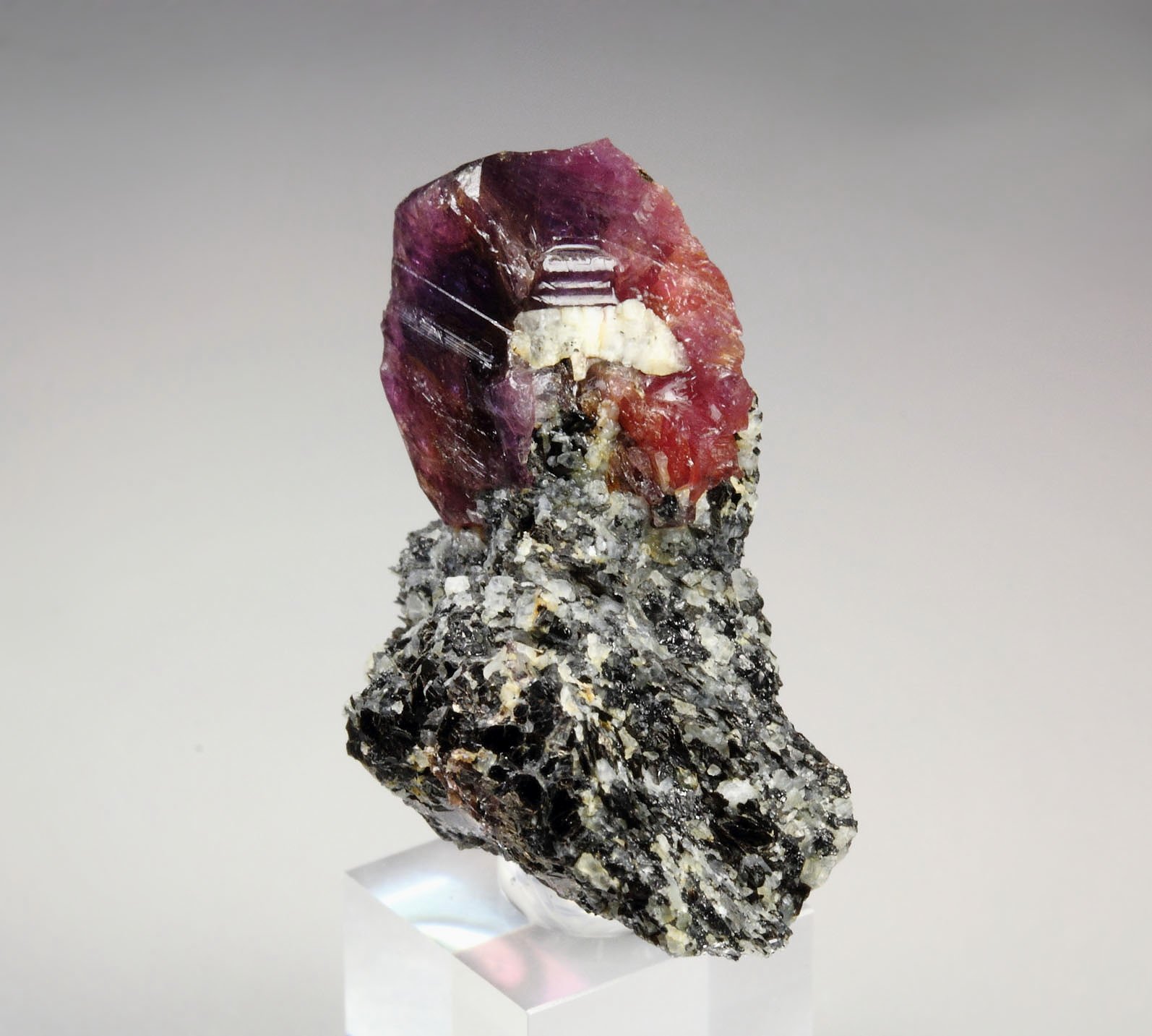 bi-color CORUNDUM var. RUBY, MUSCOVITE