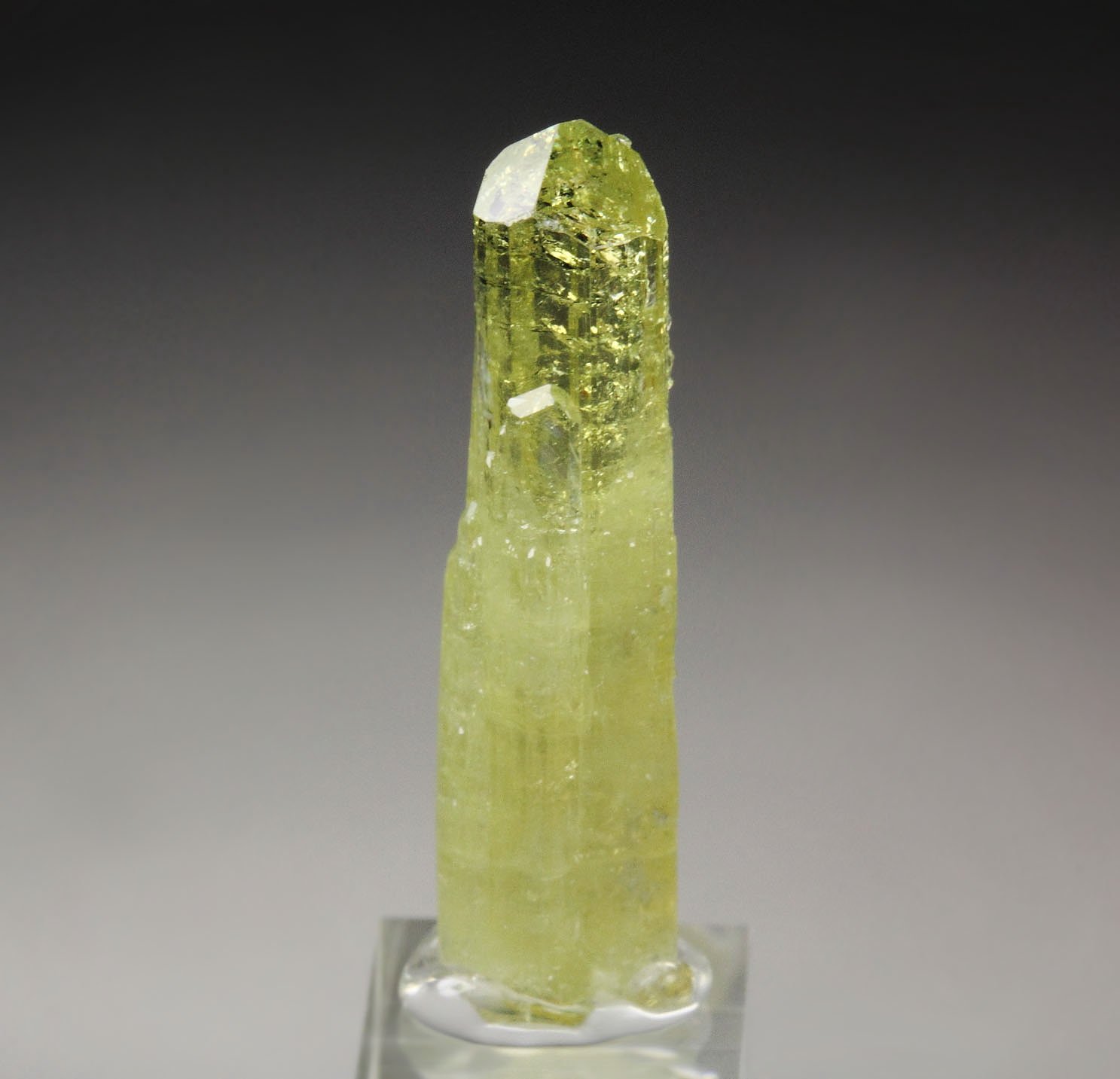 gem VESUVIANITE