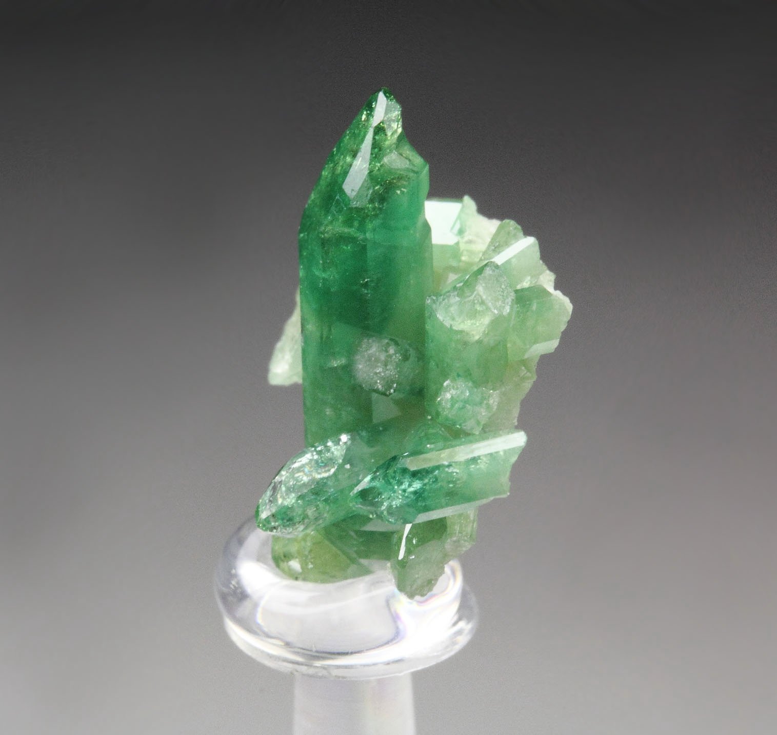 gem VESUVIANITE var. CHROMIAN