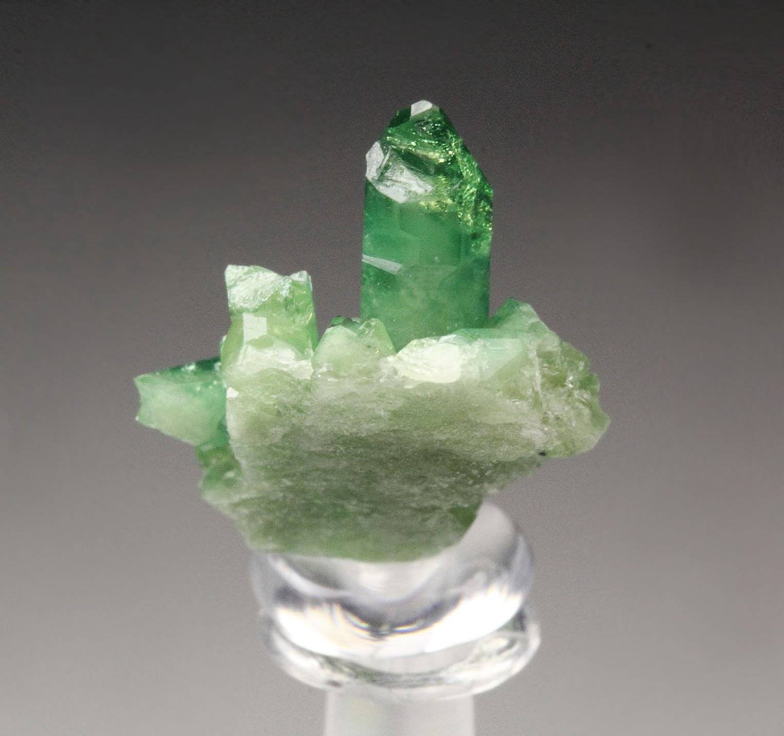 gem VESUVIANITE var. CHROMIAN