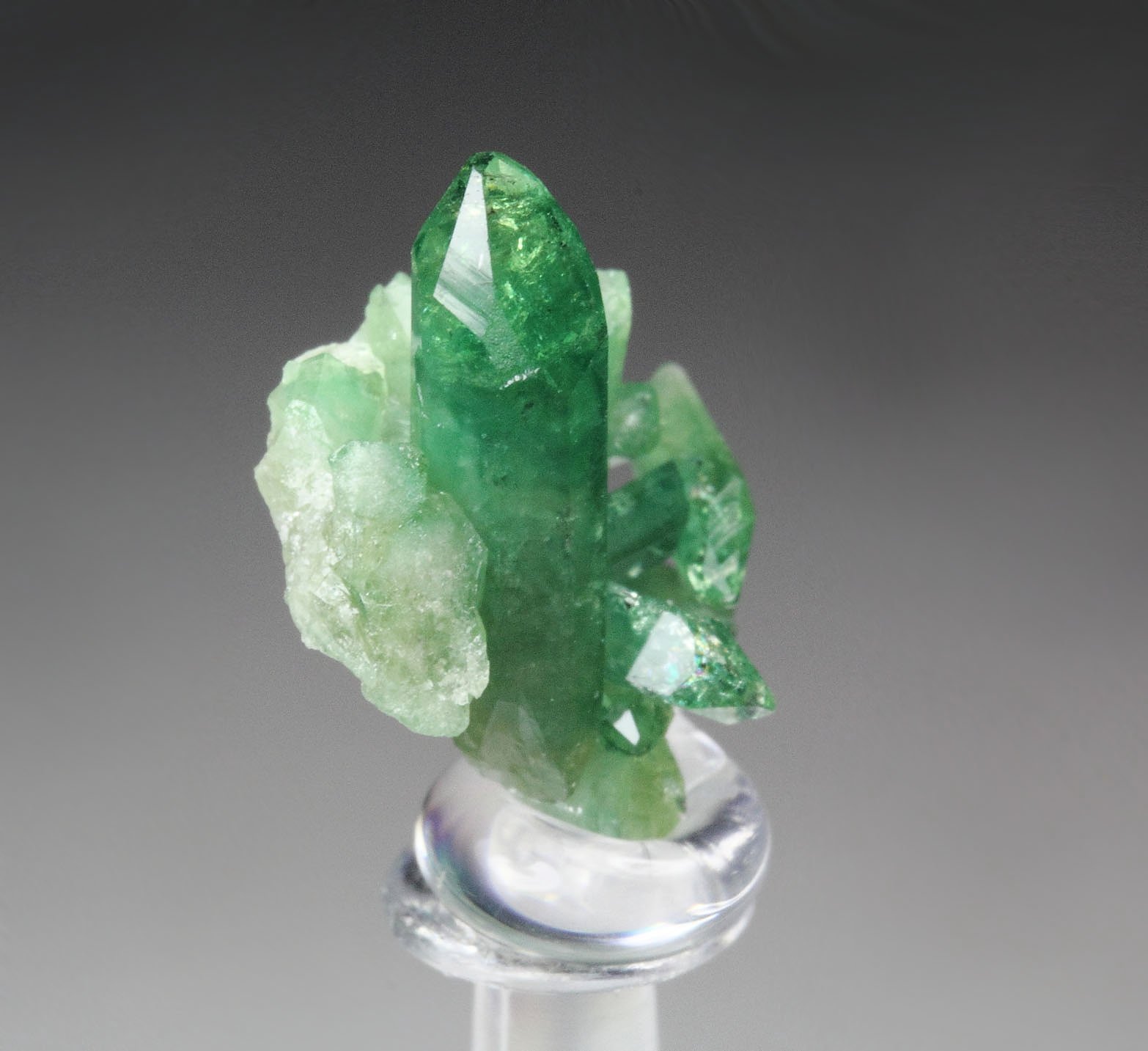 gem VESUVIANITE var. CHROMIAN