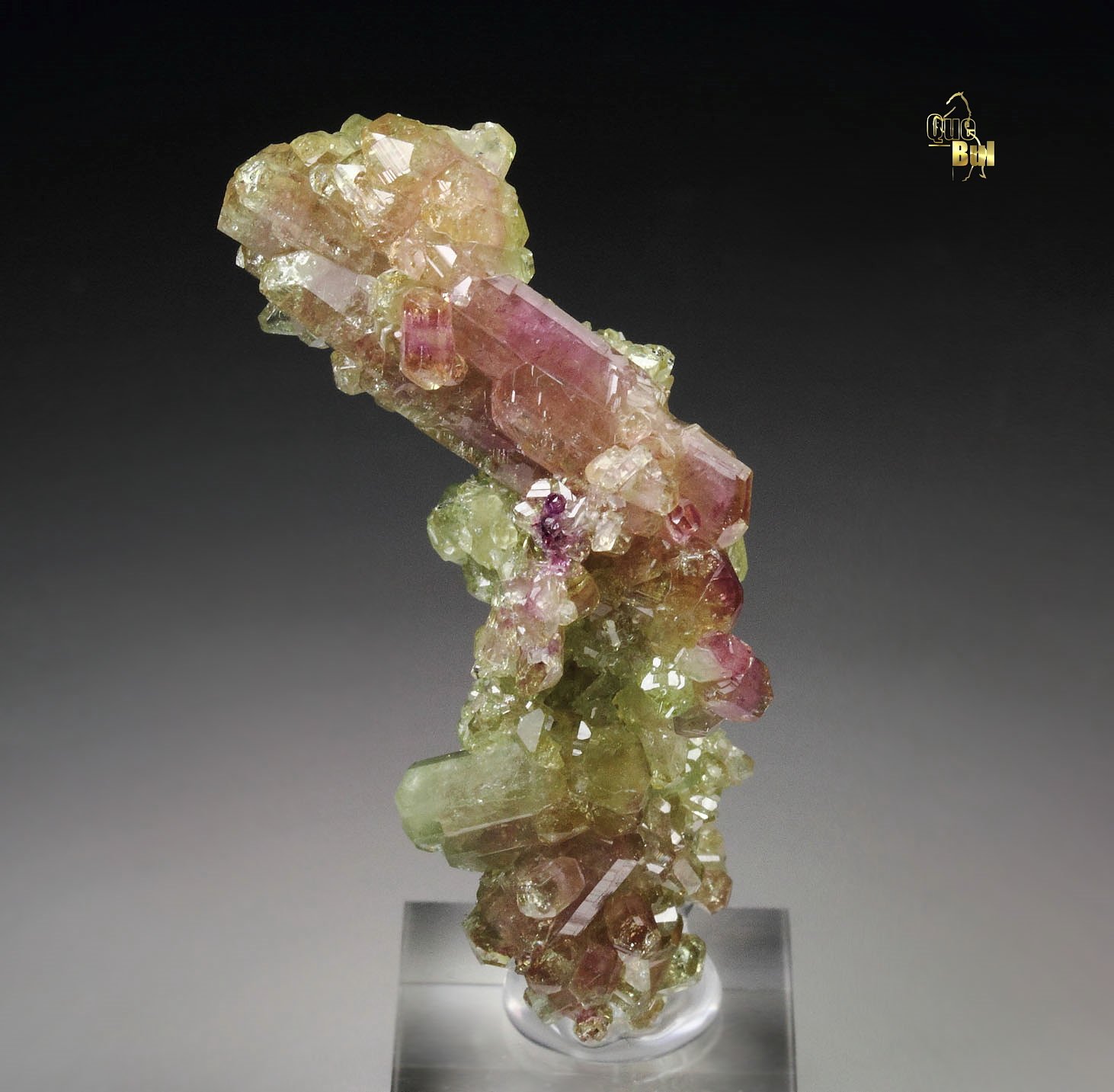 gem bi-terminated VESUVIANITE bi-color