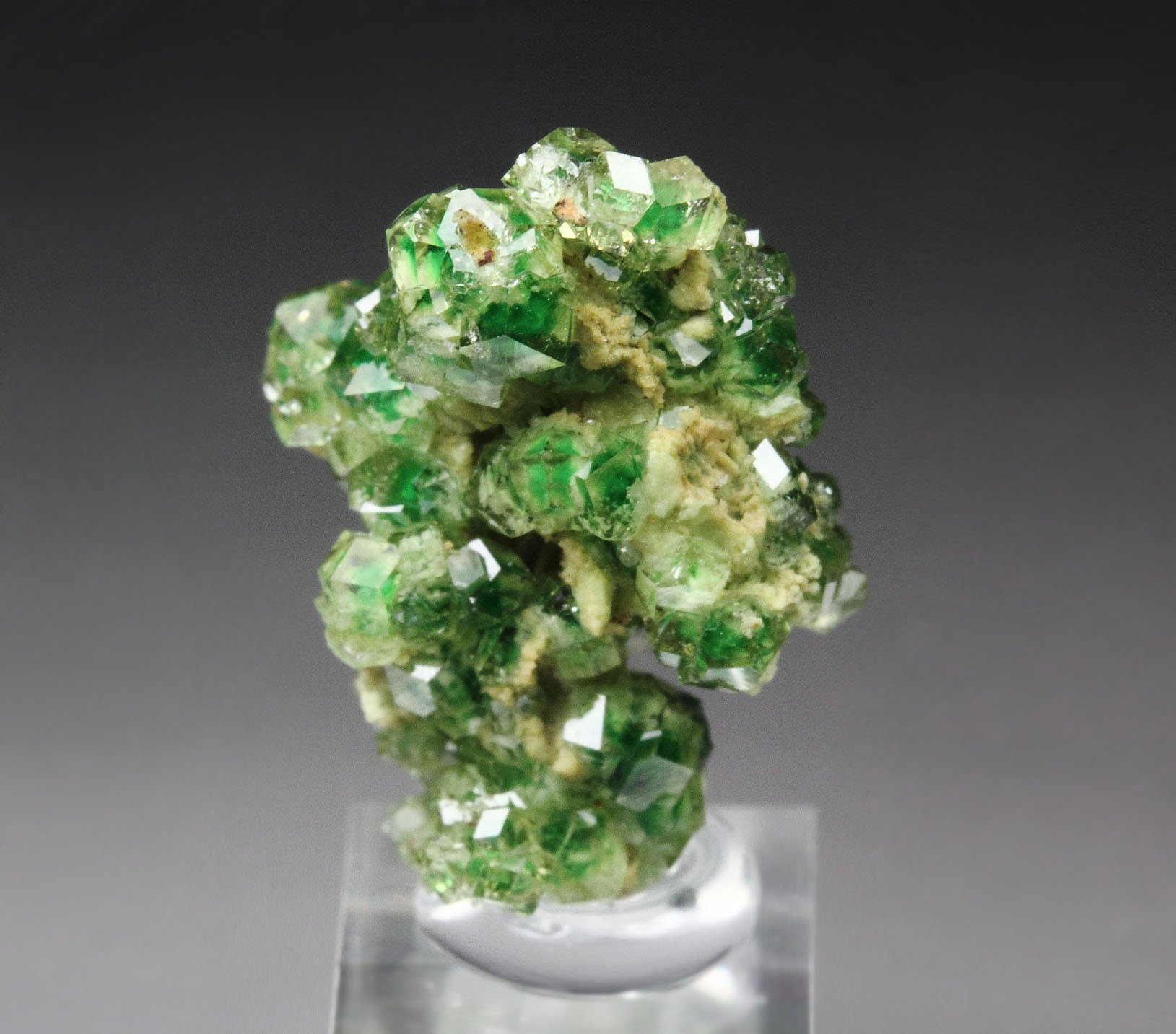 gem GARNET var. GROSSULAR with GREEN CHROMIAN PHANTOMS