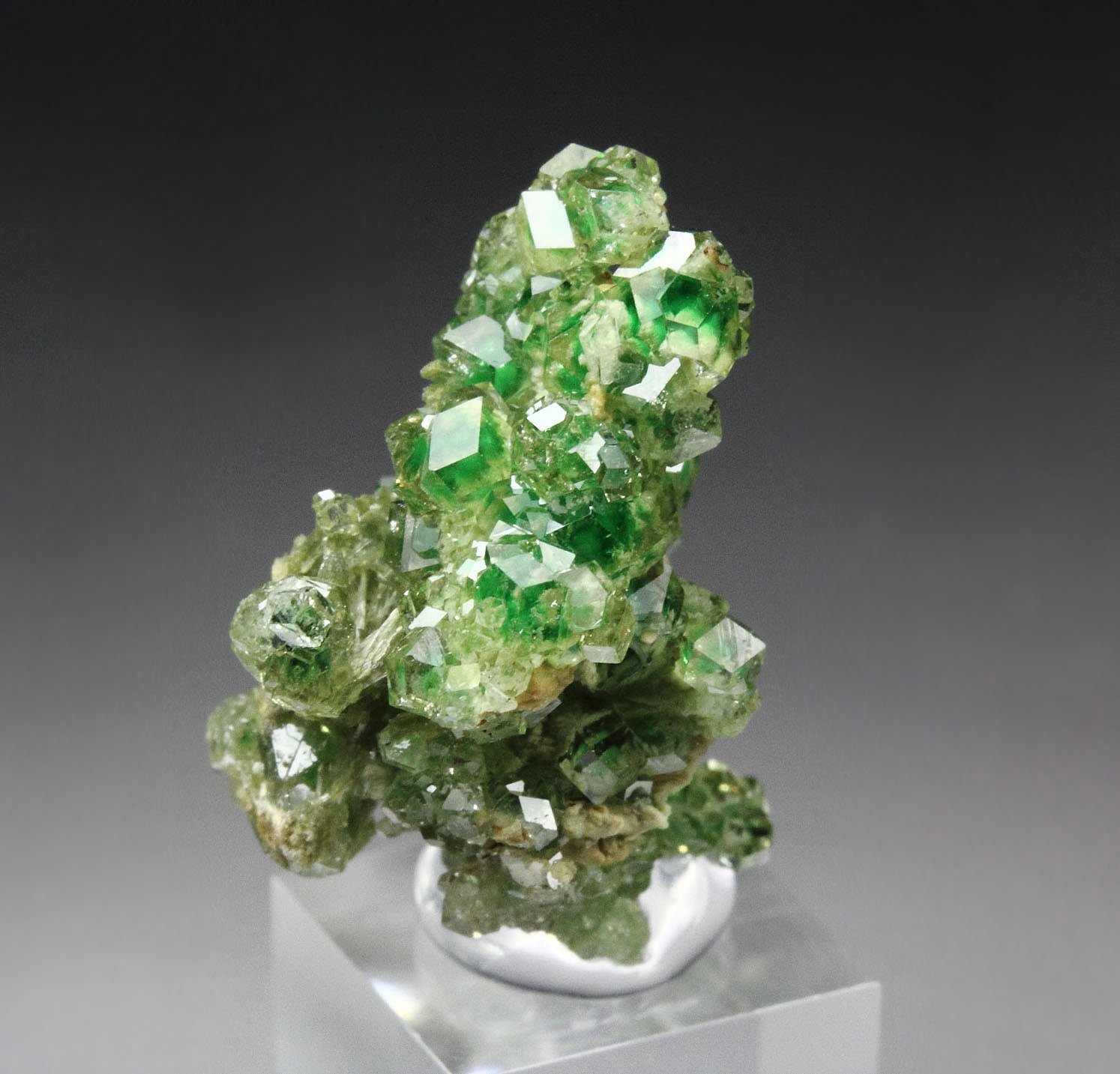 gem GARNET var. GROSSULAR with GREEN CHROMIAN PHANTOMS