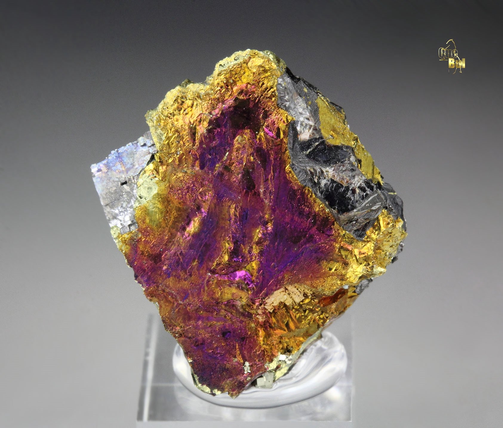 iridescent CHALCOPYRITE, GALENA, SPHALERITE