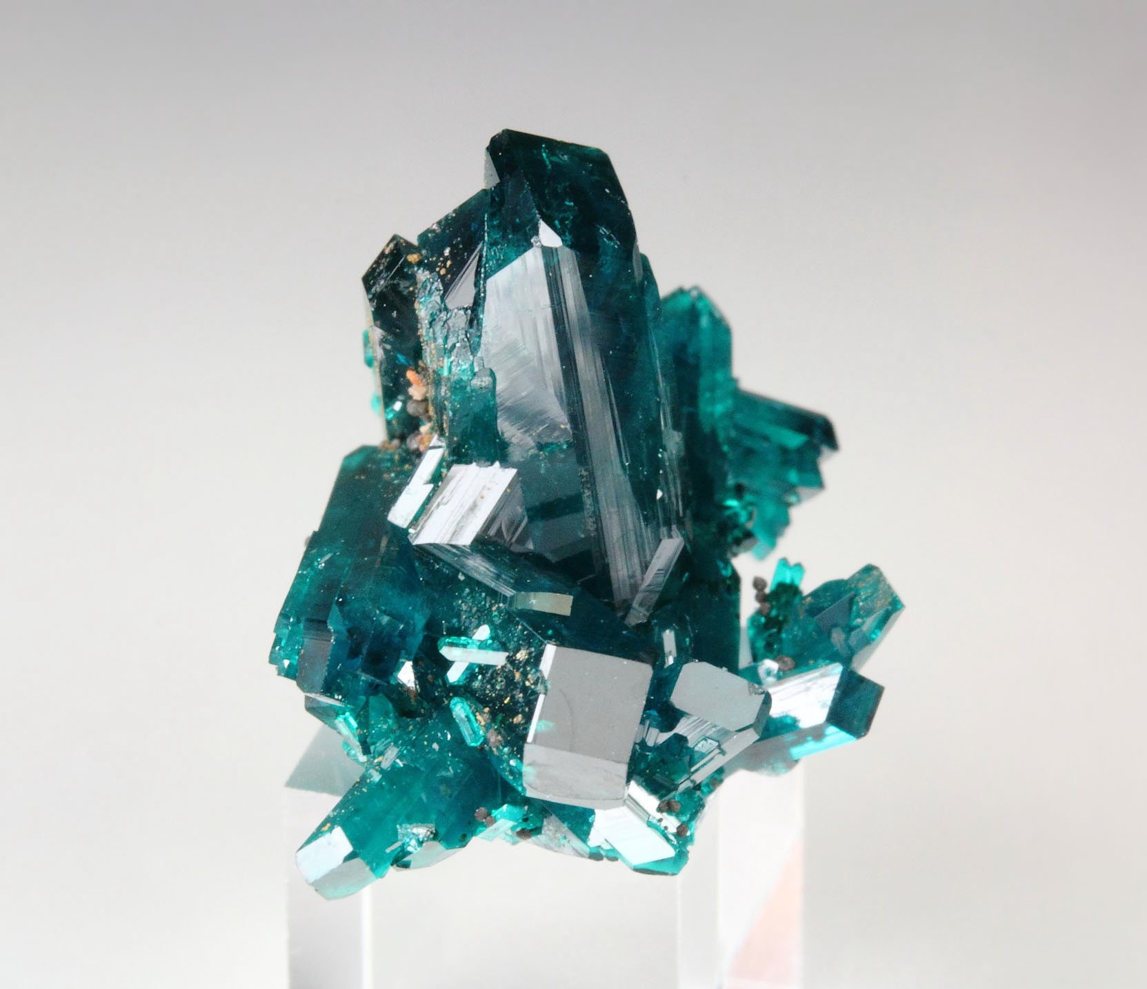 new find - DIOPTASE 
